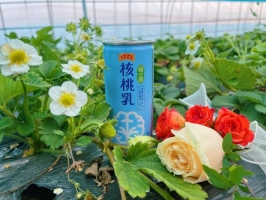 30e6ced3cc546c16c1e0bb19e4ff152