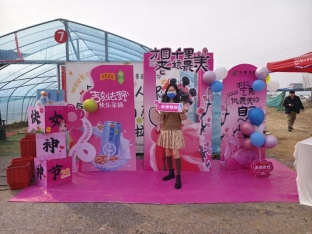 e255322b3a27e31a51821e3b979a392